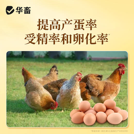 【积分兑换】华畜生育酚VE维生素E可溶粉兽用猪牛羊鸡兔提升繁殖发情促生长 商品图4