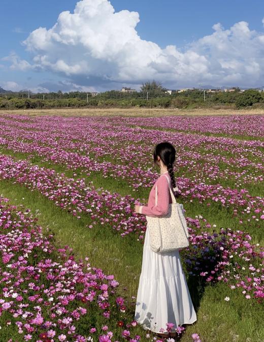 【百图lulu定制】【粉麻花毛衣】粉色 麻花纹理编织 假两件针织开衫 商品图5