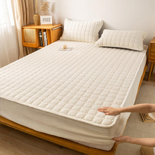 秋冬季加厚牛奶绒床笠三件套夹棉加绒保暖防滑单床笠床罩 商品图3