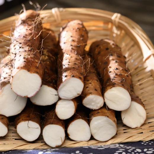 温县铁棍山药 垆土地发酵八不用种植当季新鲜蔬菜5斤装【顺丰快递】 商品图1