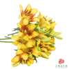 VDB百合-金麻子 5枝一扎 商品缩略图2