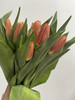 国产郁金香-【橙色】 商品缩略图0