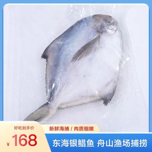 【浙江舟山海捕】东海新鲜速冻银鲳鱼4条装（未净膛，每条200g~250g，总重量不低于850克） 商品图1