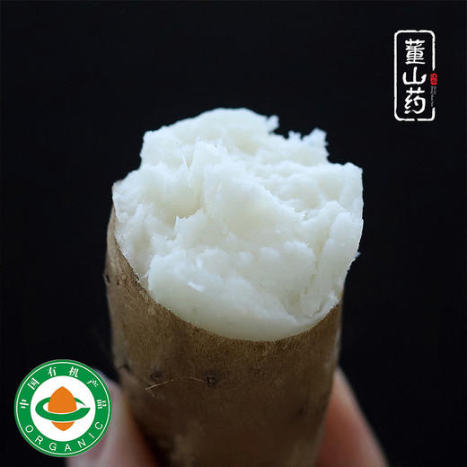 有机董山药 老品种生态有机种植当季新鲜蔬菜【顺丰快递】 商品图1