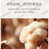 10A抗菌彩棉透气四角内裤/C012 商品缩略图2