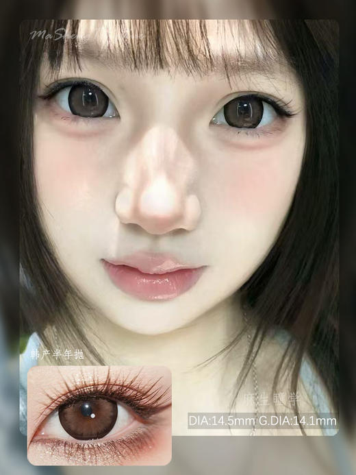 AROMI秋田棕（佩戴直径：14.5mm) 商品图0