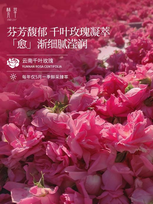 【玫瑰活肤润手霜】呵护手部皮肤 用后肌肤水润、细腻 商品图1