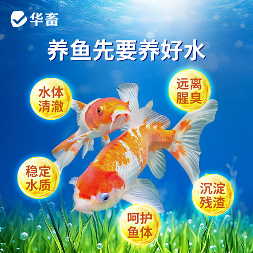 华畜鱼缸清澈剂水族用水质净化免换水特清洁清水清澈澄清剂净水王 商品图2