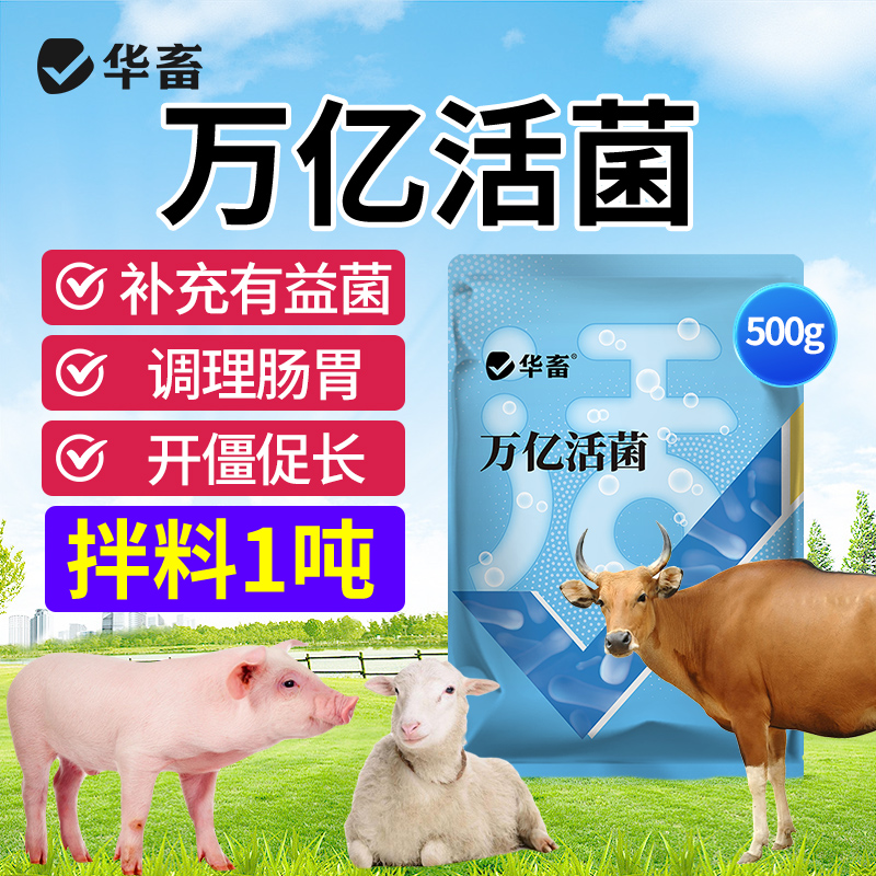 万亿活菌 补充有益菌 调理肠道