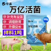 万亿活菌 补充有益菌 调理肠道 商品缩略图0