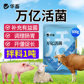 万亿活菌 补充有益菌 调理肠道