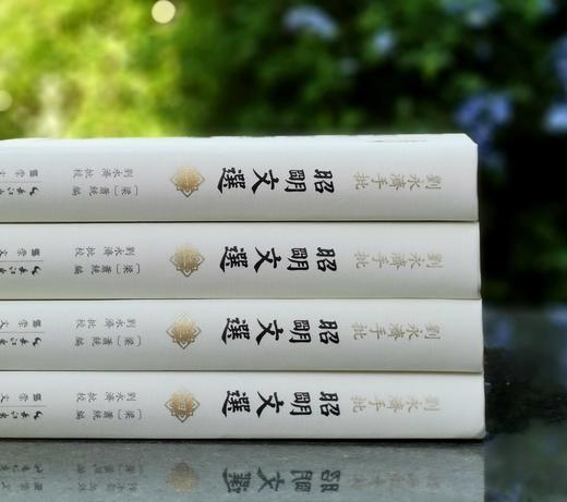 钤刘永济印！！《刘永济手批<昭明文选>》，大16开，精装，刘永济手批，崇文书局2025年9月一版一印，约2000页，定价1200，售价780元。另加赠品。 商品图6