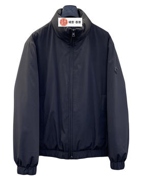 男款logo立领羽绒服018