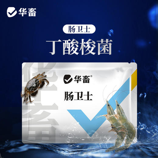 华畜肠卫士100g 添加丁酸梭菌 维持肠道生态稳定 商品图0