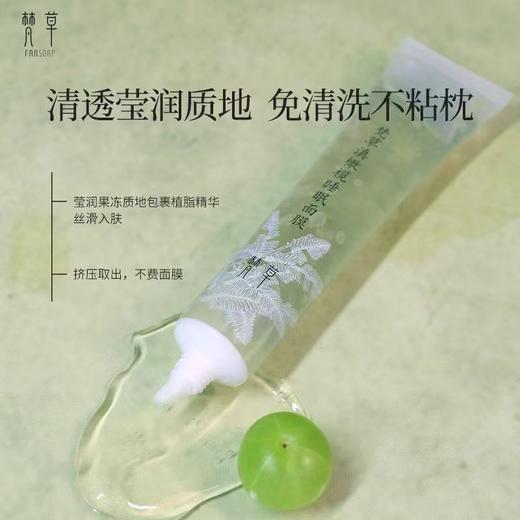 梵草滇橄榄睡眠面膜 50g 商品图1
