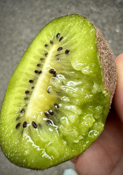 塔顿品种猕猴桃终于来啦  拿到就能吃无需等，甜！！塔顿是个品种，就像斯凯拉雷之于金车，猕猴桃中王一样的存在！高原大山原生态，果肉细嫩多浆，满满的VC，清甜爽口 清香化汁，口感是真的好！ 商品图0