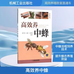 高效养中蜂