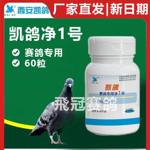 凯鸽净虫1号球虫胶囊60粒凯鸽净虫一号净1号赛鸽信鸽保健 商品图0