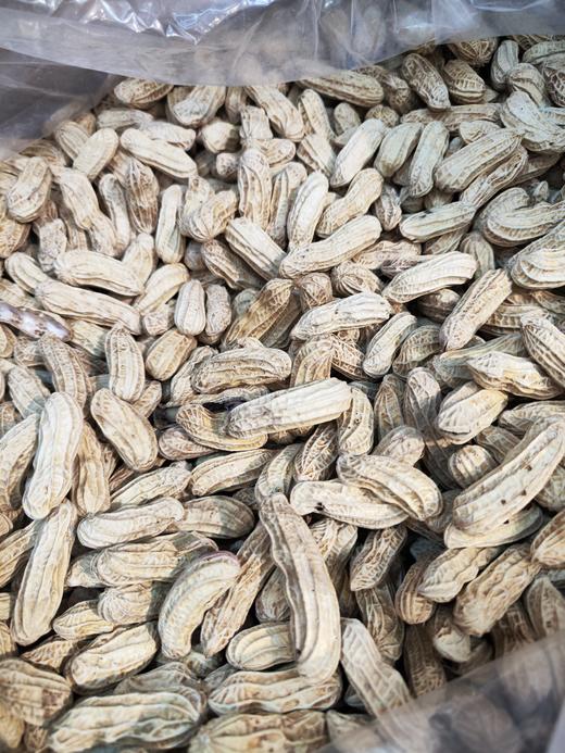 云南七彩熟花生  颗粒饱满大粒 香酥脆~壳薄易剥 商品图0