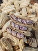云南七彩熟花生  颗粒饱满大粒 香酥脆~壳薄易剥 商品缩略图5