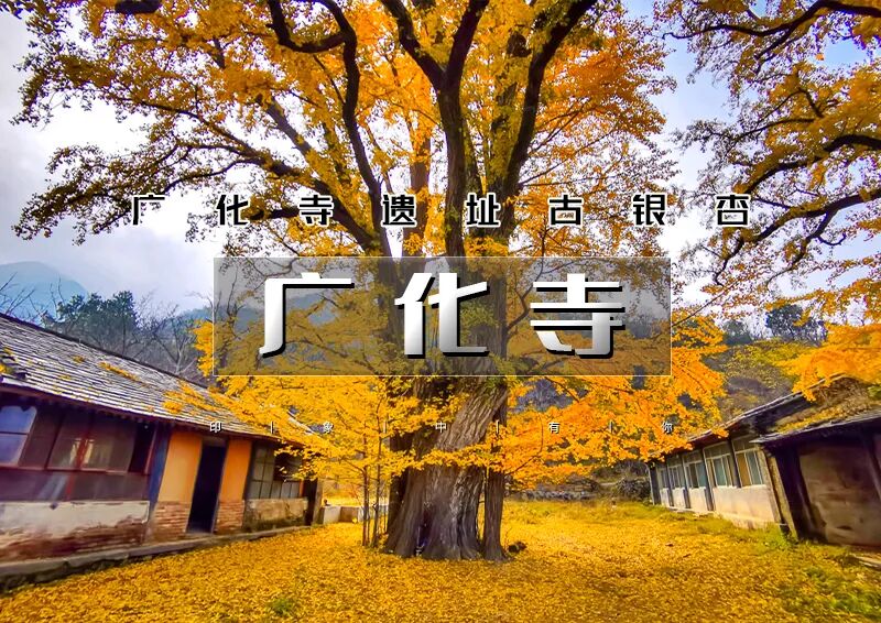 1日｜秋版•广化寺｜鲜为人知广化寺の京门铁路-广化寺-西山古道-琉璃渠10公里徒步&大觉寺赏枫叶和千年古银杏树