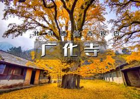 1日｜秋版•广化寺｜鲜为人知广化寺の京门铁路-广化寺-西山古道-琉璃渠10公里徒步&大觉寺赏枫叶和千年古银杏树