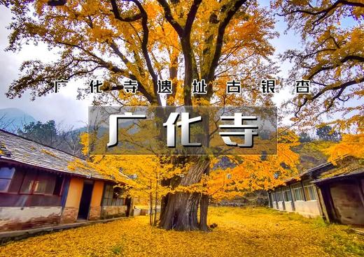 1日｜秋版•广化寺｜鲜为人知广化寺の京门铁路-广化寺-西山古道-琉璃渠10公里徒步&大觉寺赏枫叶和千年古银杏树 商品图0