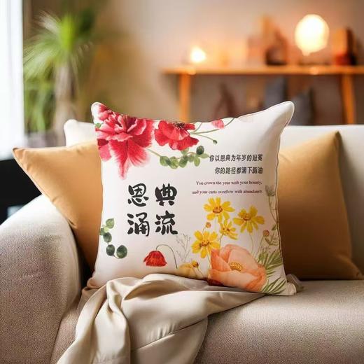 短毛绒美好话语抱枕 商品图2