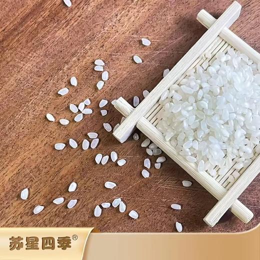 苏粮米业-南梗9108真空包装5kg 商品图2