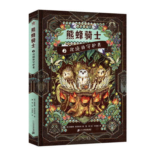 《熊蜂骑士》全3册  9-14岁  写给每一个平凡孩子的奇幻冒险小说    在史诗传奇中照见个人的命运与选择  用长篇阅读提高文字欣赏和表达能力  2017年德国青少年文学奖新锐作家特别奖提名作品 商品图2