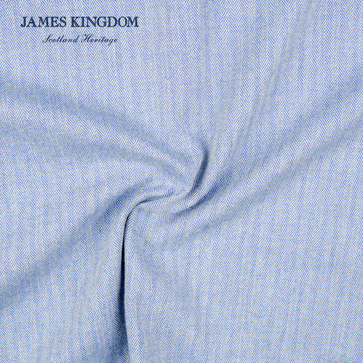 【棉羊绒衬衫】占姆士秋冬新品棉羊绒条纹衬衫男士高端商务休闲保暖衬衫 商品图2