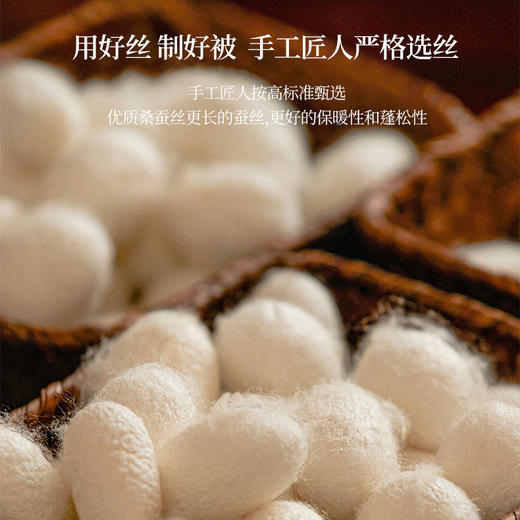 热卖！！【填充100%桑蚕丝】罗马世家 丝韵蚕丝蛋白复合被丨亲肤透气 睡眠"0"负担 商品图1