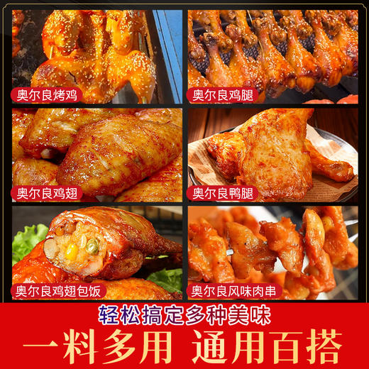 【餐饮专用】奥尔良腌料 商品图3