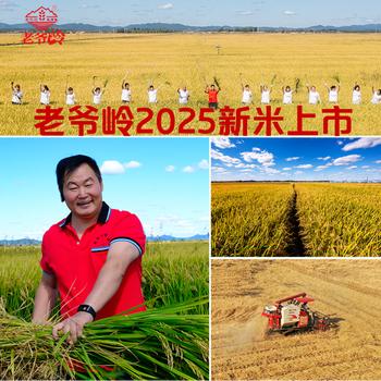 老爷岭 小町米寿司米10斤东北吉林大米小粒香米秋田小町年货福利团购 /粮油调味 /米 /小町米 商品图8