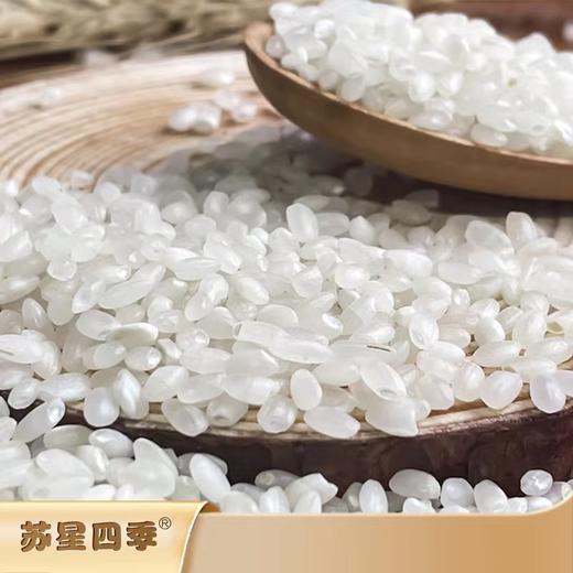 苏粮米业-南梗46真空包装2.5kg 商品图2