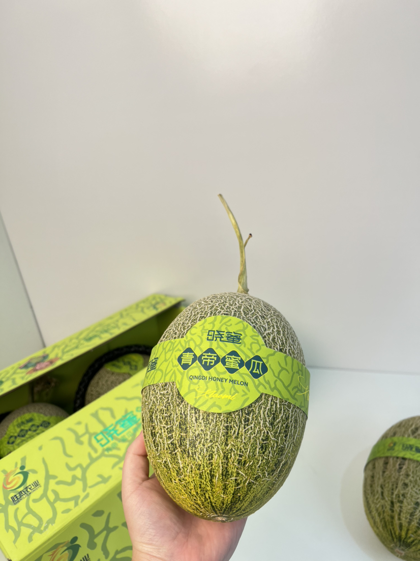 青皮晓蜜甜瓜，瓜皮纤薄，瓜肉多汁