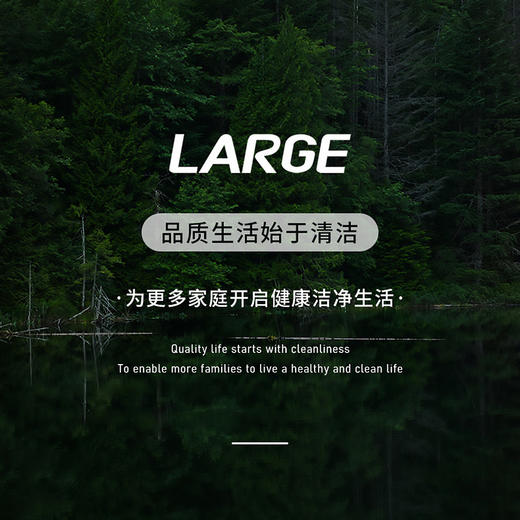 LARGE 破壁机清洁泡腾片5g×20块 盒 商品图6