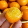 广西脆皮金桔皮脆无籽，纯甜清香，不涩不麻 商品缩略图2