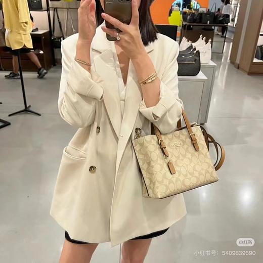 D102057等比例缩小版托特包Mollie Tote小号斜挎手提包 商品图2