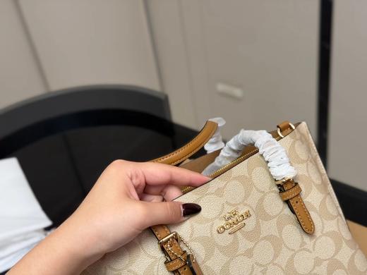 D102057等比例缩小版托特包Mollie Tote小号斜挎手提包 商品图12