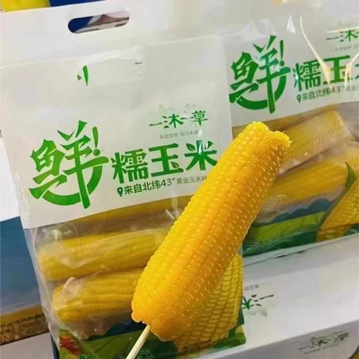 一沐一草鲜糯玉米 商品图8