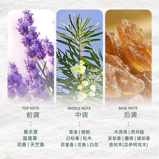 INGRAM'S 英格莱恩 经典香樟乳霜/草本香樟乳霜 商品图6