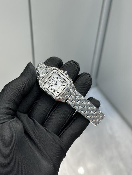 SH010-卡家猎豹手小号中号尺寸齐 钻圈款（SH） 商品图6