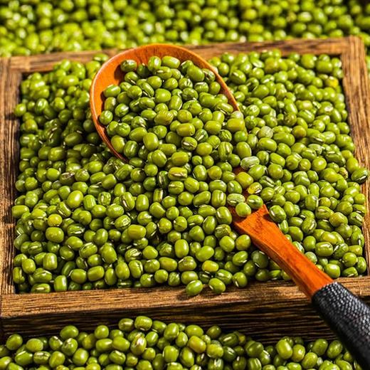 心选丨2025新东北农家绿豆 商品图0