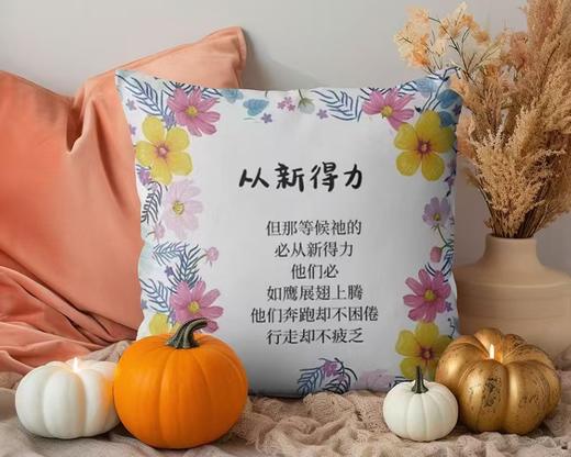 短毛绒美好话语抱枕 商品图4
