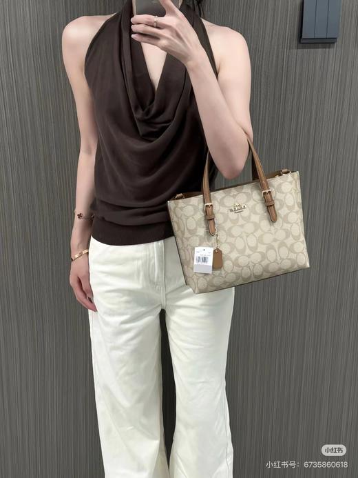 D102057等比例缩小版托特包Mollie Tote小号斜挎手提包 商品图9