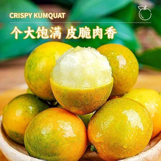 广西脆皮金桔皮脆无籽，纯甜清香，不涩不麻 商品图3