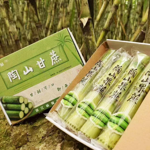 【顺丰发货】陶山甘蔗 精选中间段 现砍现发 脆甜多汁 商品图0