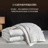 热卖！！【填充100%桑蚕丝】罗马世家 丝韵蚕丝蛋白复合被丨亲肤透气 睡眠"0"负担 商品缩略图3