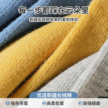 六指鼠儿童袜子春秋款精梳棉袜男童中大童小孩宝宝学生秋冬中筒长袜潮童 商品图7